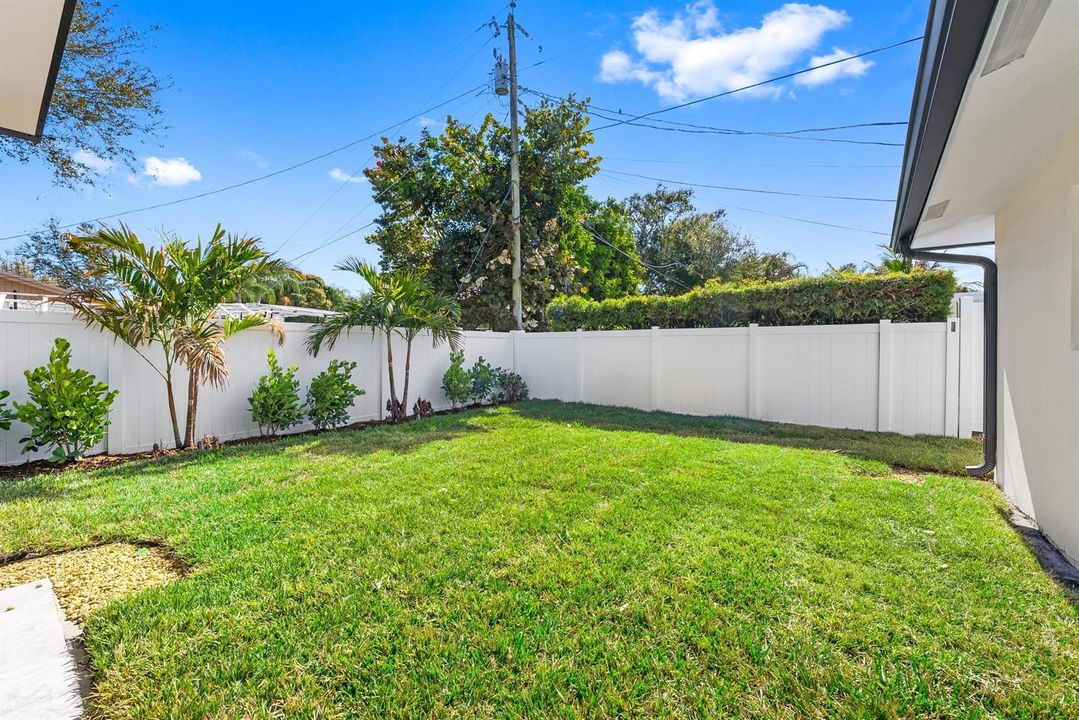 Backyard