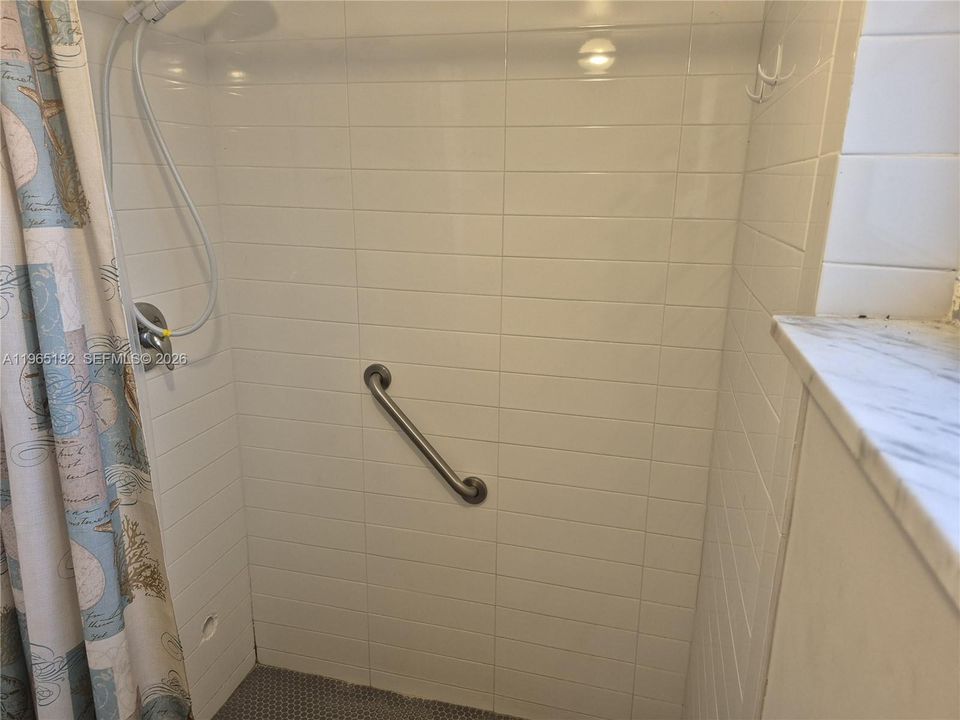 Primary Shower