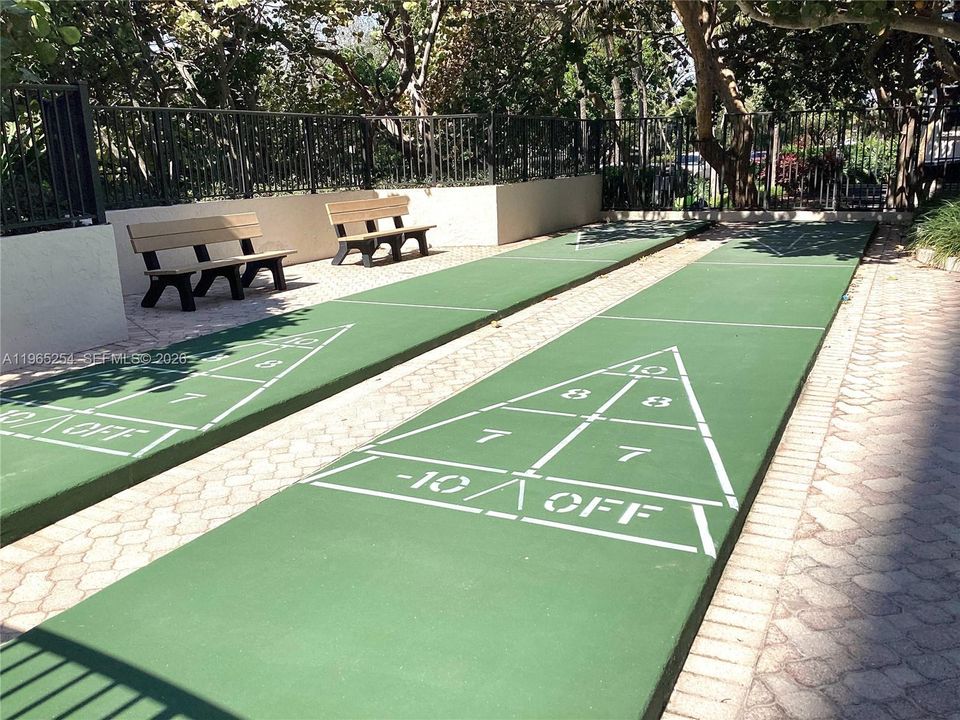 Shuffleboard court