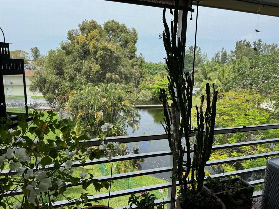 Activo con contrato: $280,000 (2 camas, 2 baños, 886 Pies cuadrados)