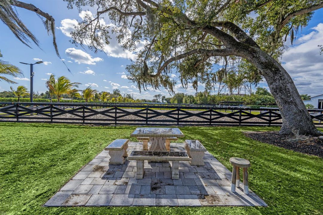 28-web-or-mls-A7406728