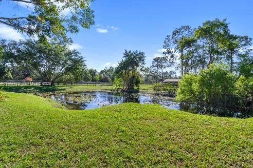 One of two ponds