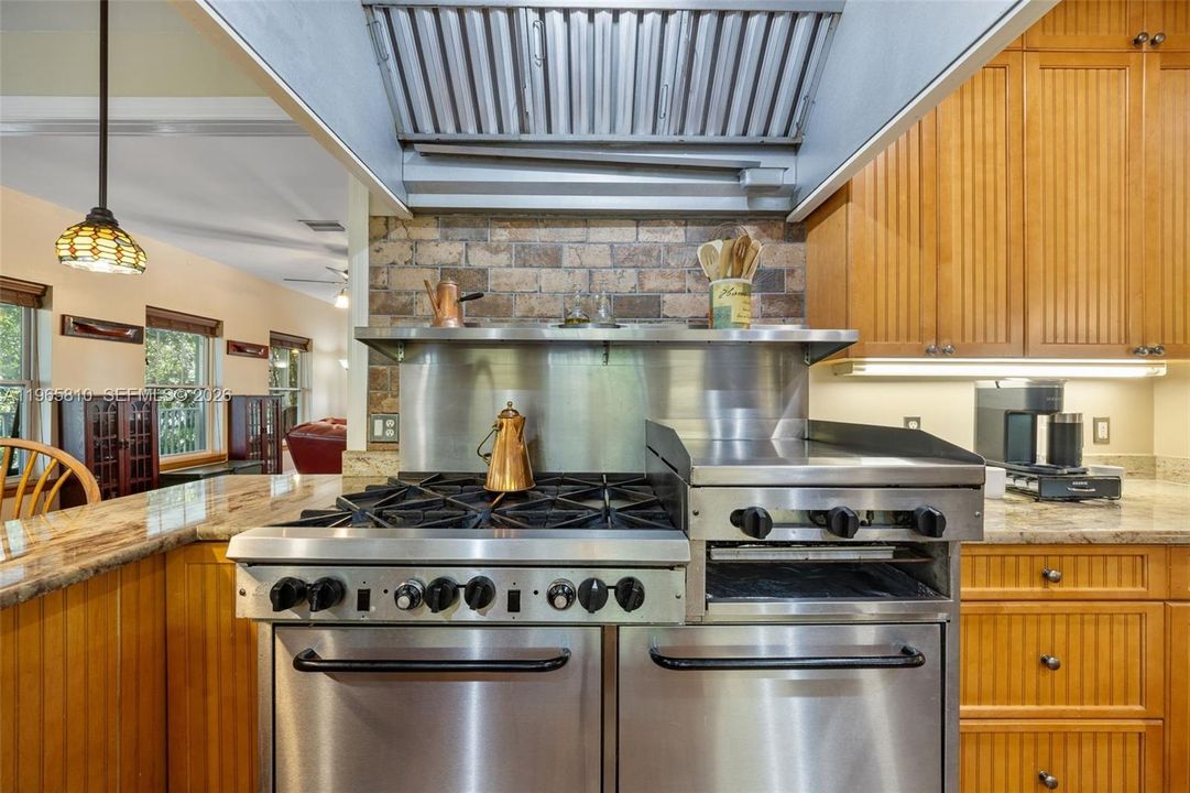 Commercial grade stove & hood