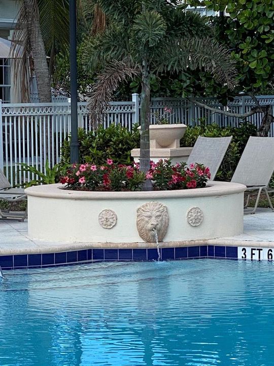 Pool Fountain