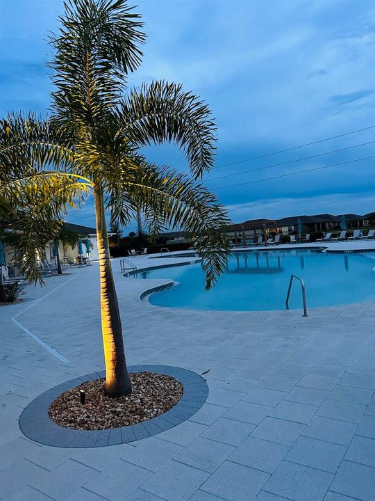 Pool Lounging Area