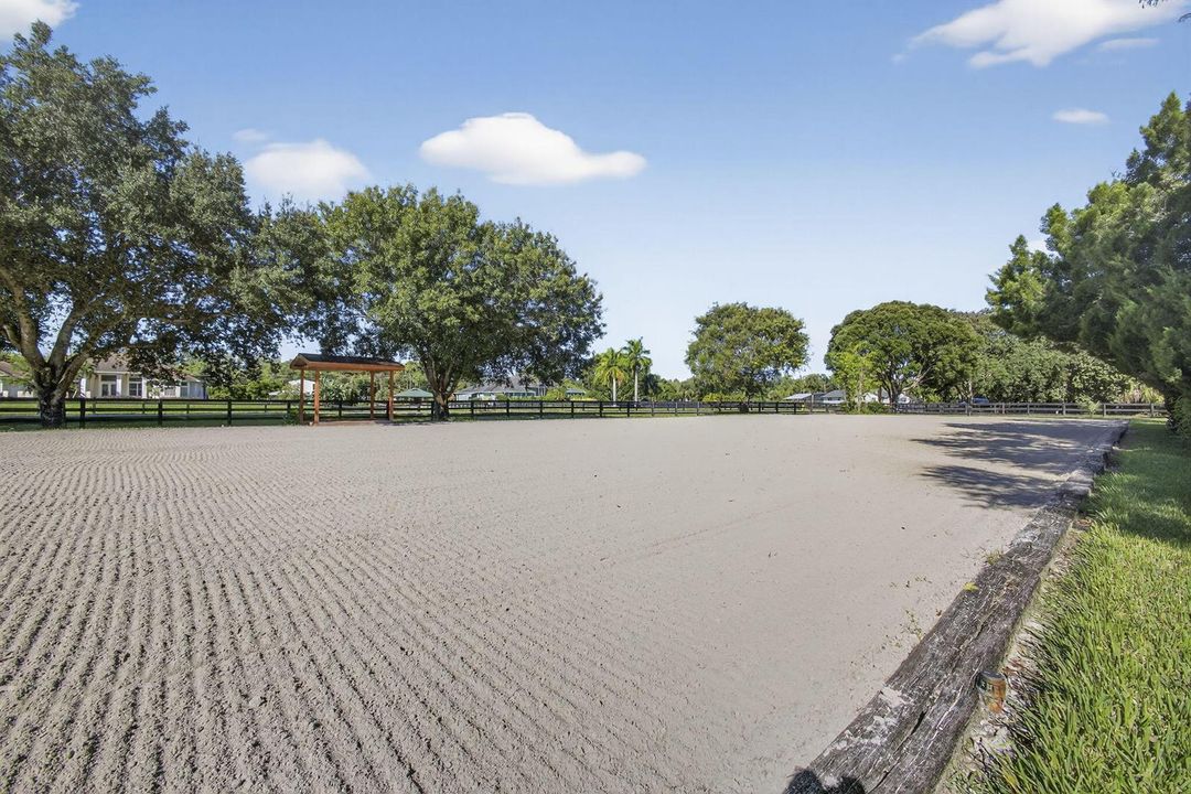 Dressage Ring