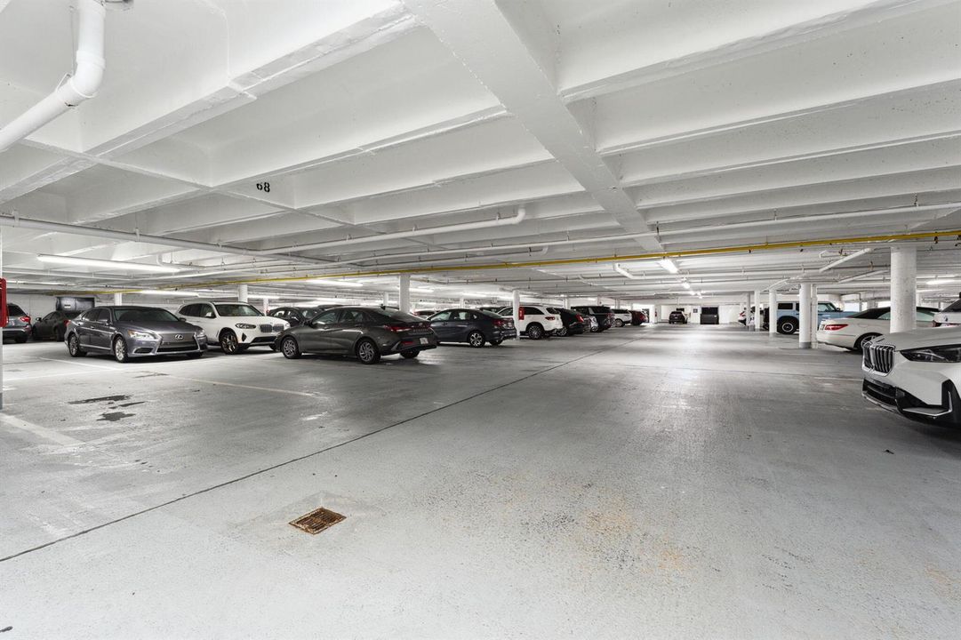 48-web-or-mls-49-web-or-mls-DSC01270