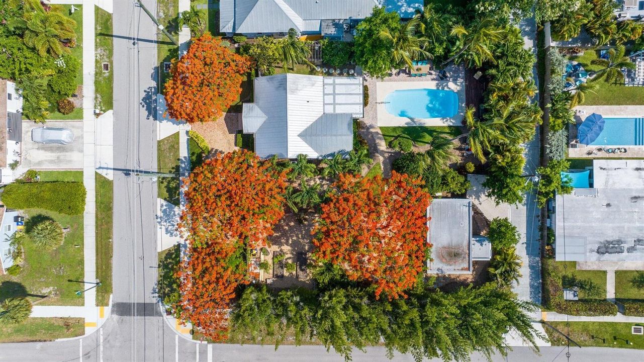 DJI_20260615233029_0430_D.jpg-SMALL