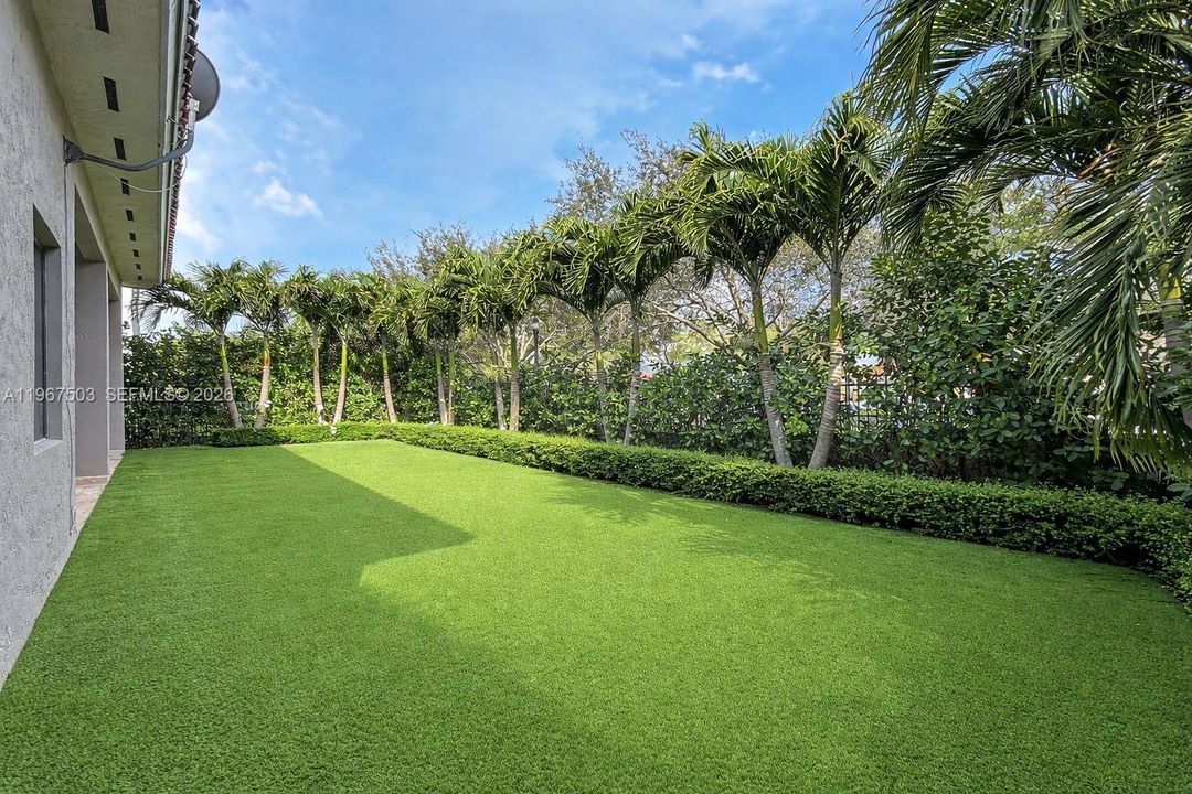 Backyard
