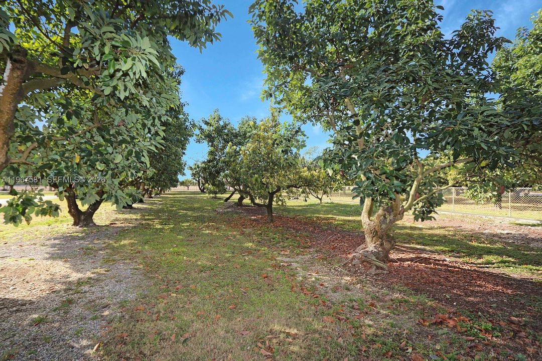 Vendido Recientemente: $1,600,000 (4 camas, 3 baños, 0 Pies cuadrados)
