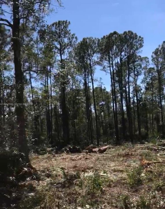 En Venta: $35,000 (30,492.00 acres)