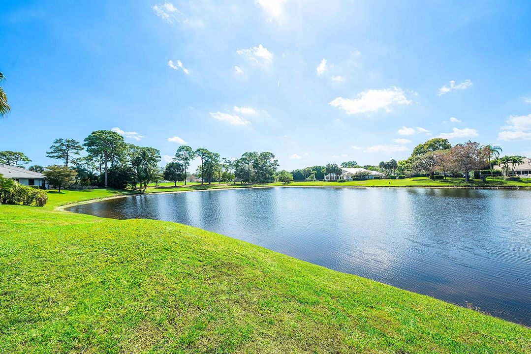 Lake Views
