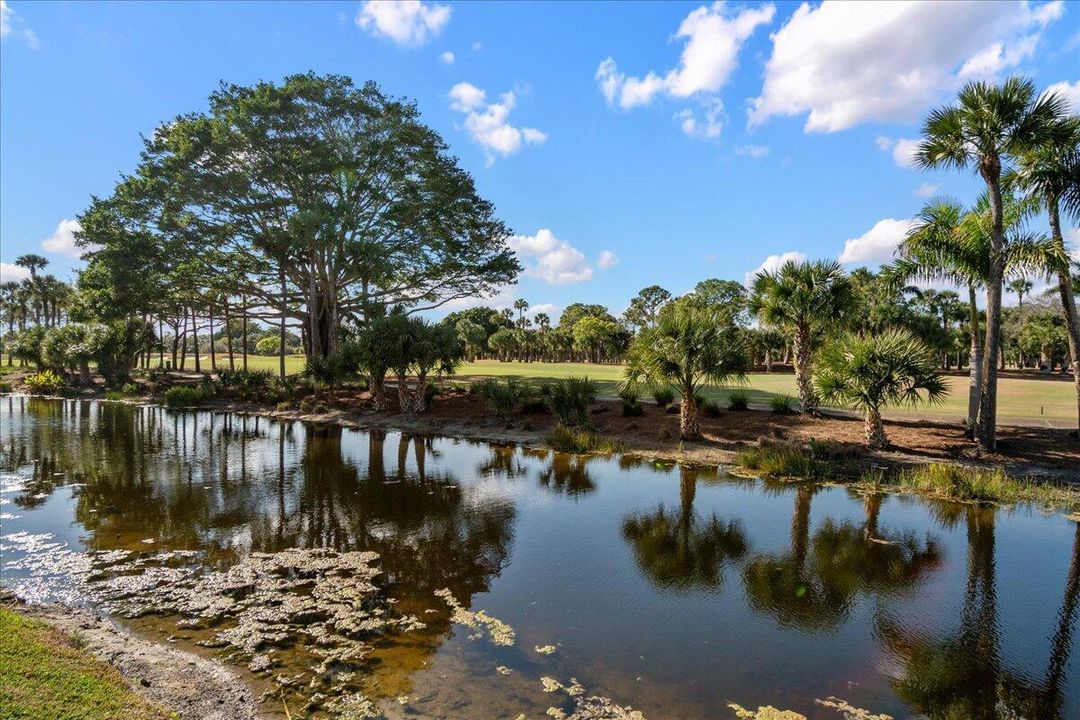Backyard and Golf course view