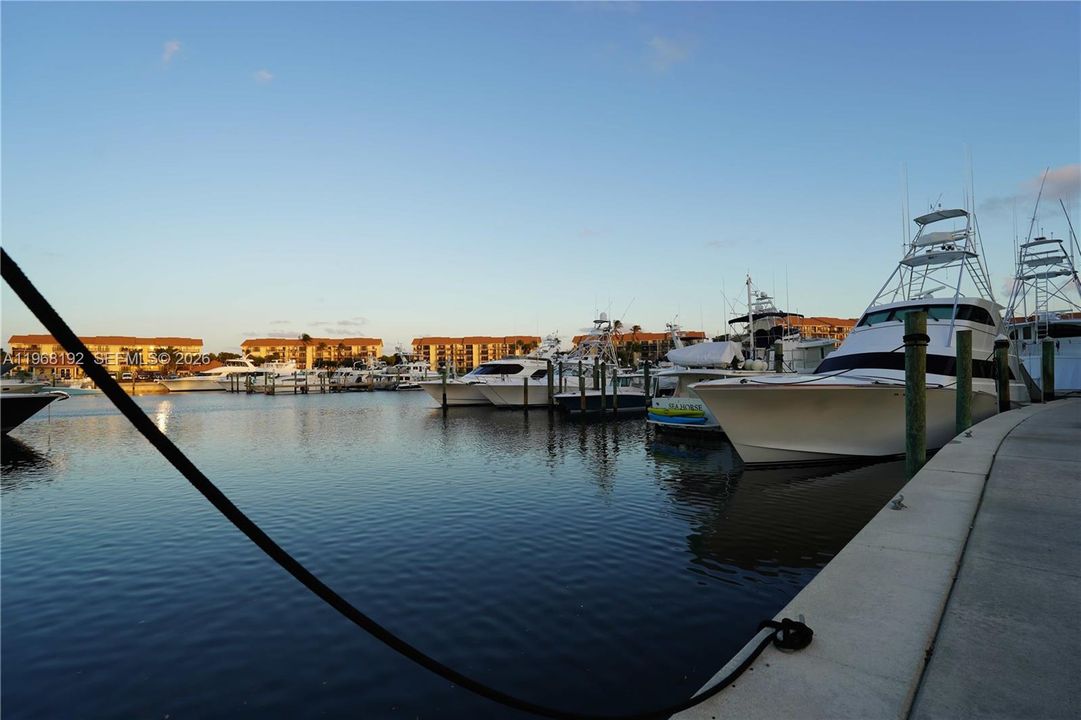 For Sale: $549,000 (2 beds, 2 baths, 1385 Square Feet)