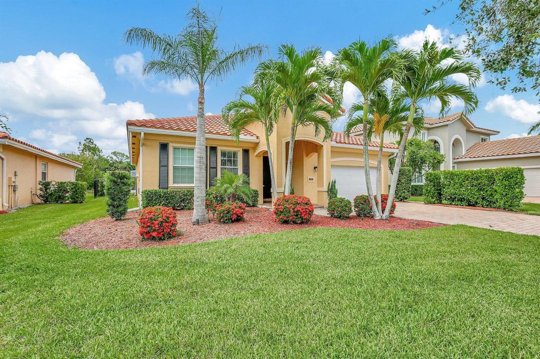 3-web-or-mls-5P1A2919