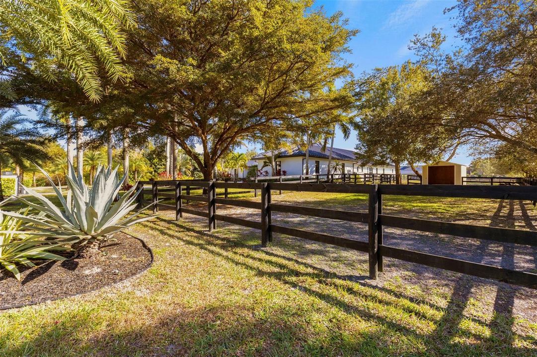 Front Pasture