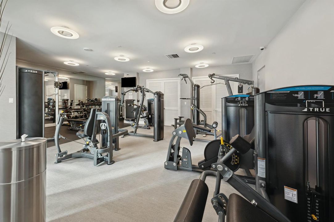 Gym - Weight room