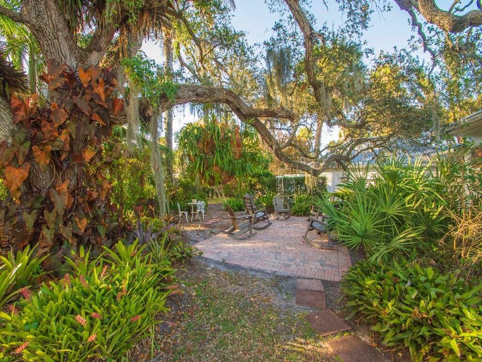 Live Oak