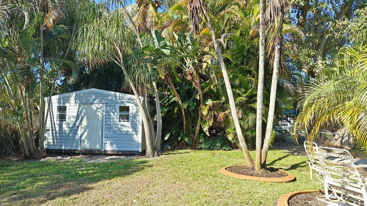 Backyard Shed
