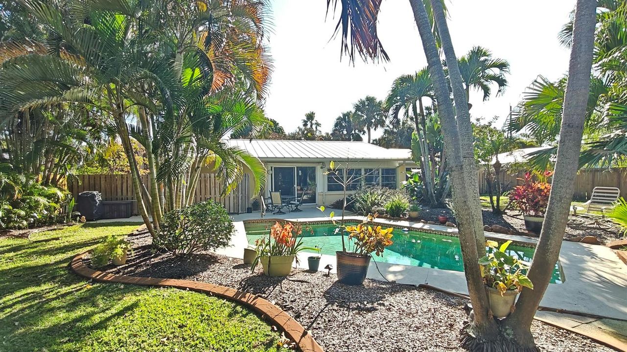 Backyard Pool