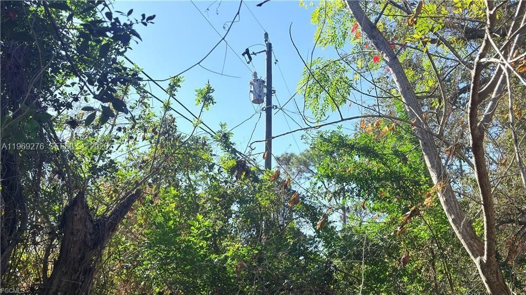 electrical pole