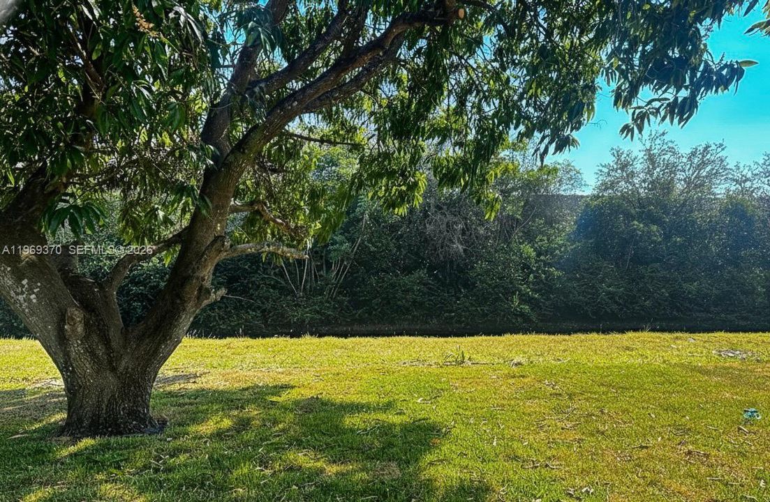 En Venta: $474,500 (4 camas, 2 baños, 1578 Pies cuadrados)