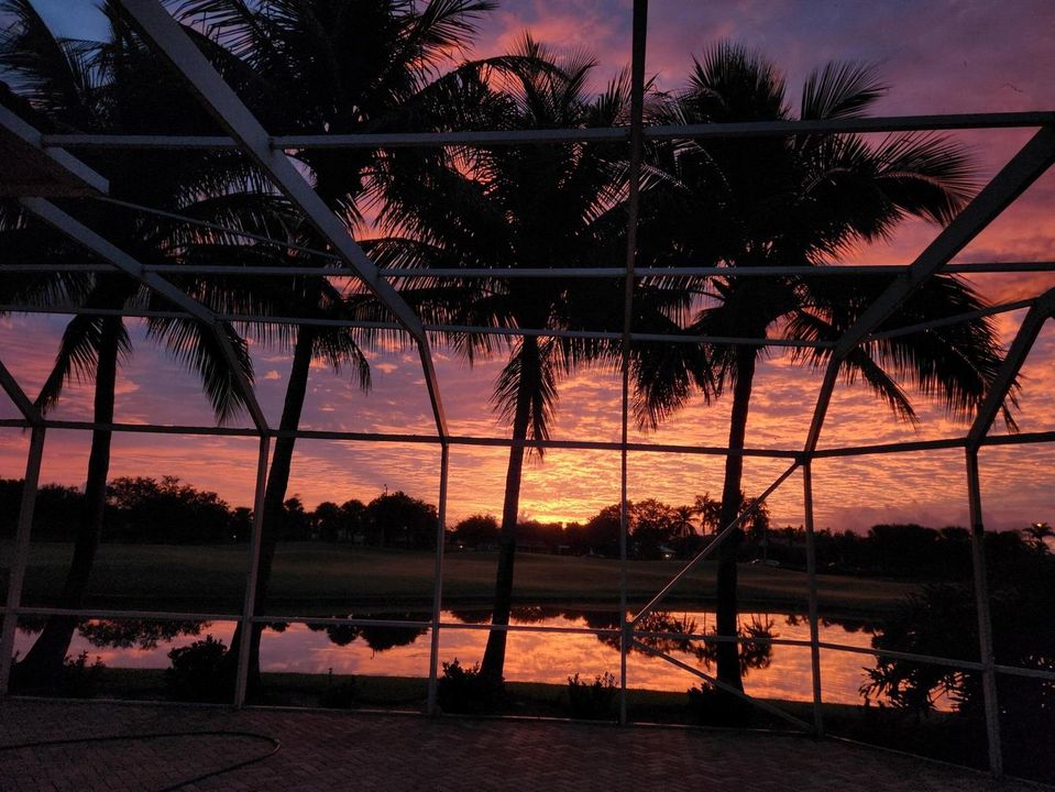 Backyard Sunrise