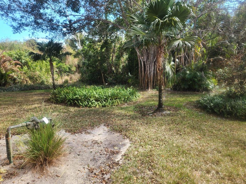 Little Club #363 Back of Condo