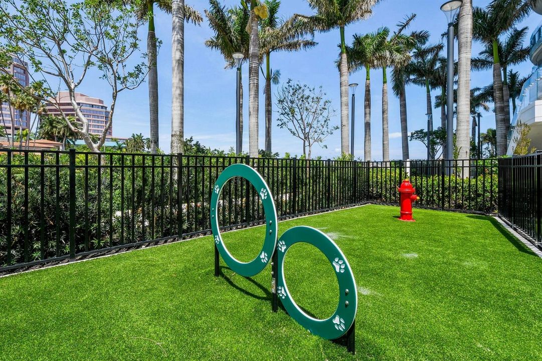 Dog Park