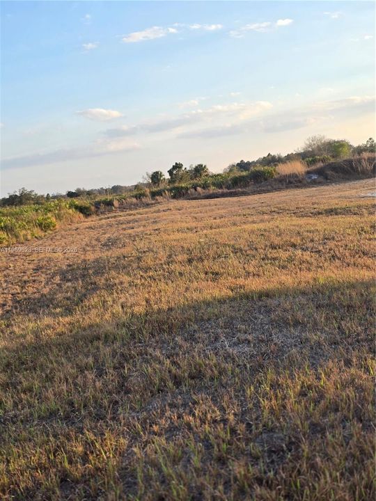 En Venta: $29,900 (1.25 acres)