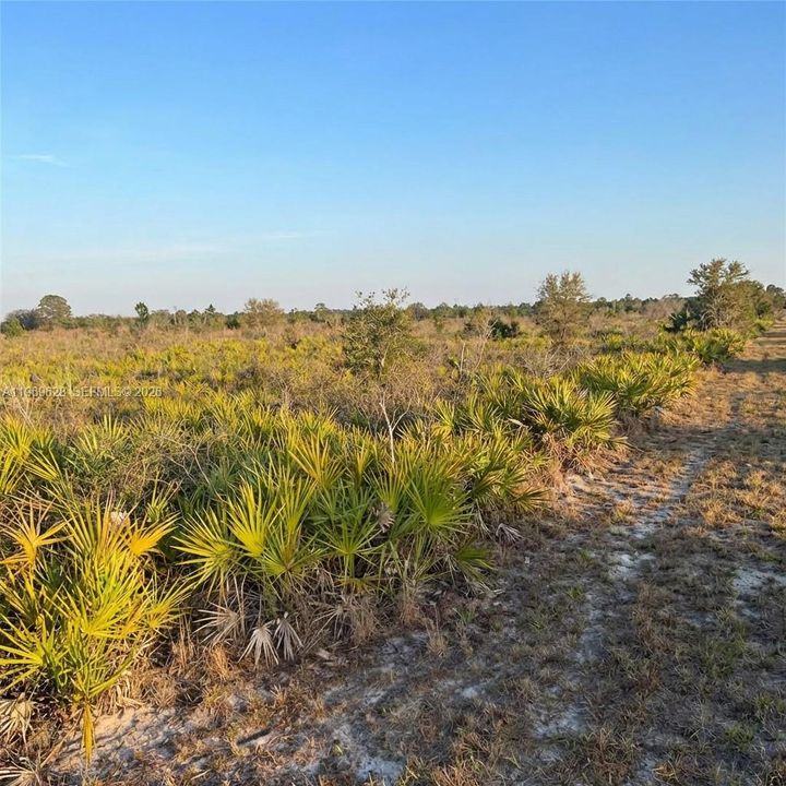 En Venta: $29,900 (1.25 acres)