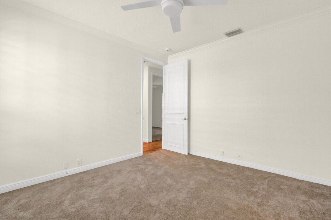 Image_40 (1)_mls