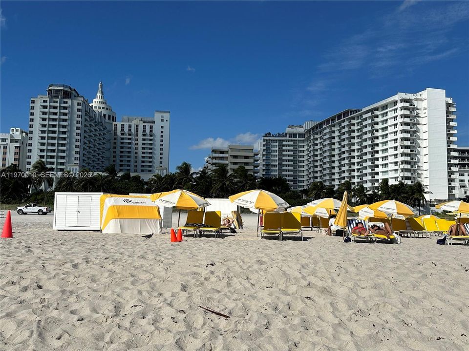 Beach Services