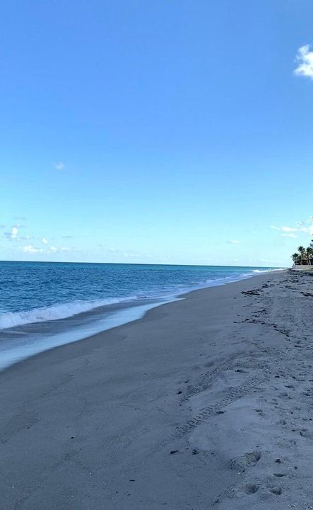 Beach at Orange Grove