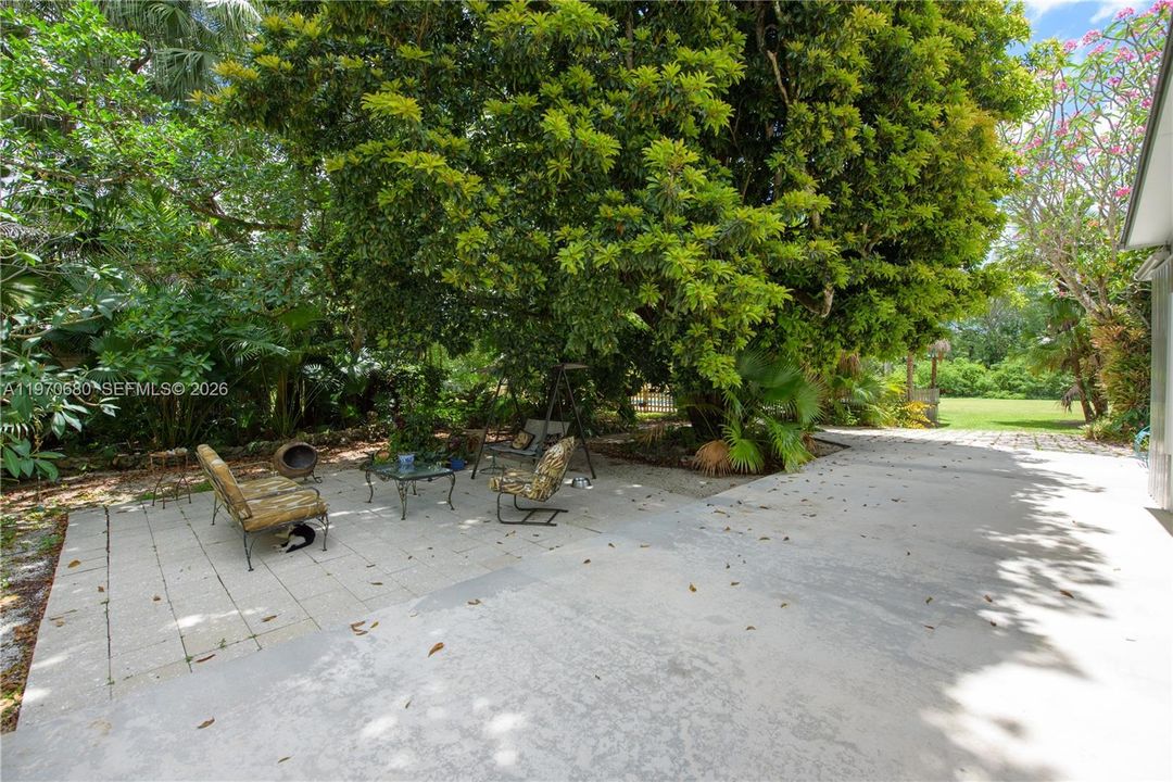 BACK OPEN PATIO FRUIT AND FLOWERING TREES