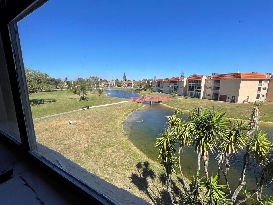 6a View from Primary