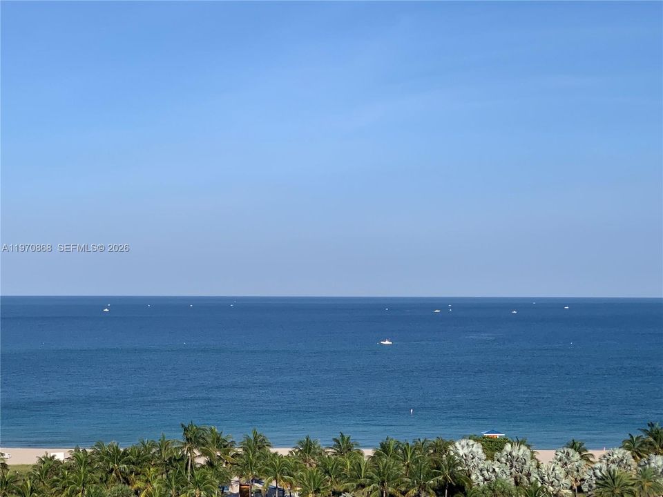 Direct Ocean View
