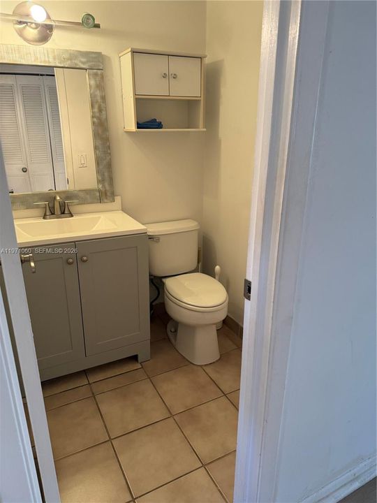 Guest bathroom