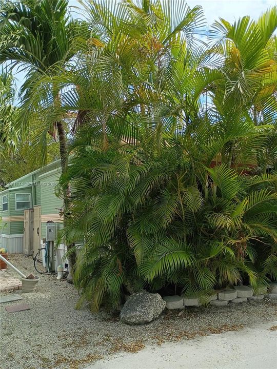For Sale: $360,000 (1 beds, 1 baths, 367 Square Feet)