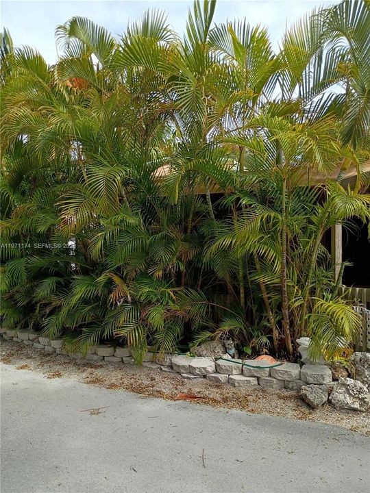 For Sale: $360,000 (1 beds, 1 baths, 367 Square Feet)