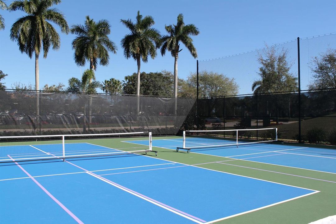 Pickball up close