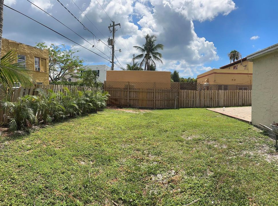 Back yard