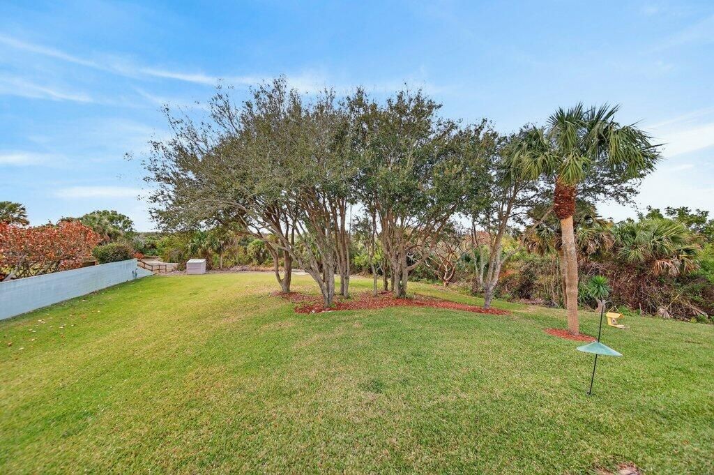 backyard1.jpg-SMALL
