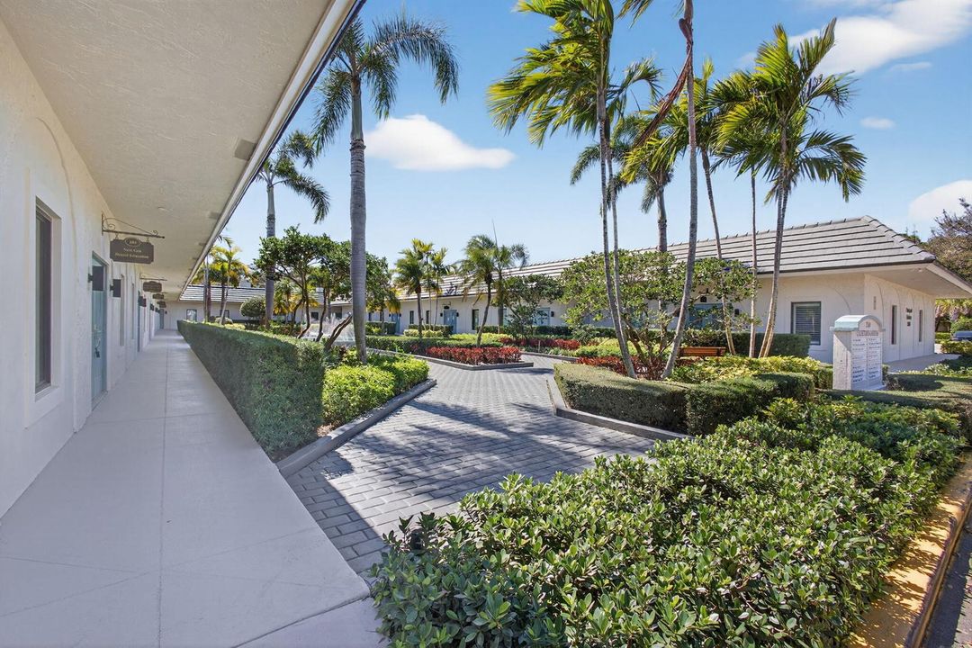 28-web-or-mls-5D1A1209