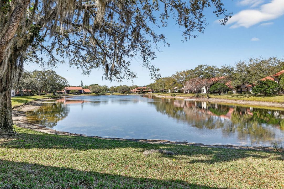 24-web-or-mls-3A5A5821
