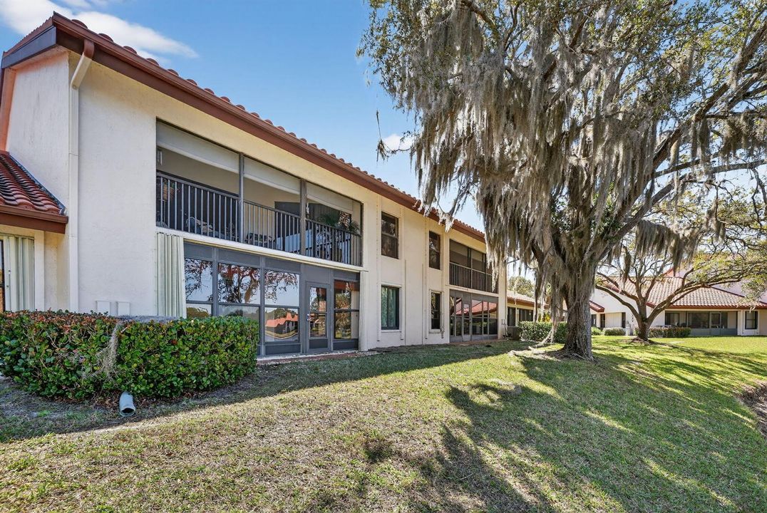 25-web-or-mls-3A5A5823