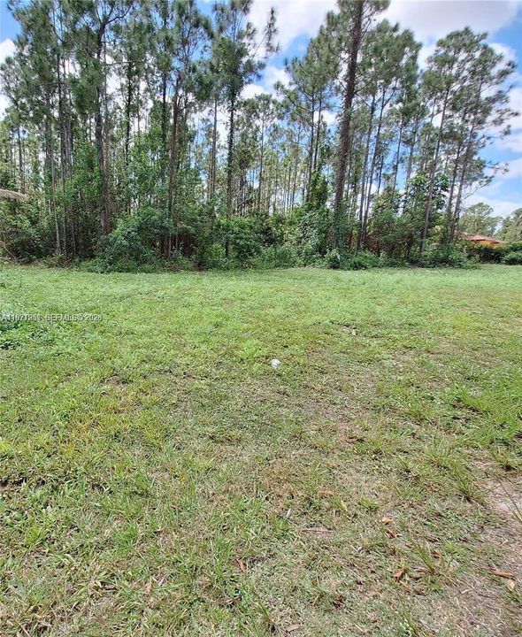 For Sale: $315,000 (1.17 acres)