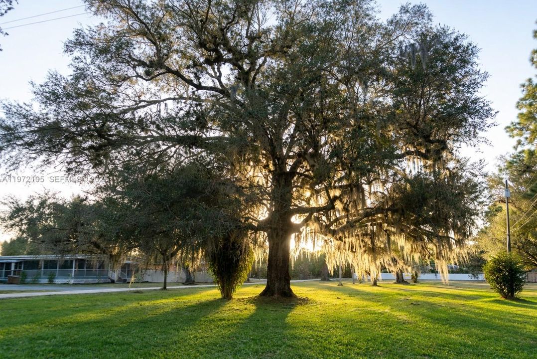 For Sale: $150,000 (0.80 acres)