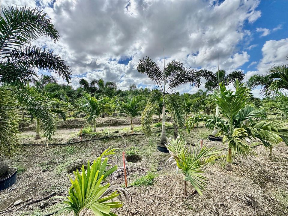 For Sale: $1,300,000 (8.62 acres)