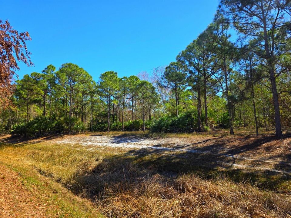 View of Property